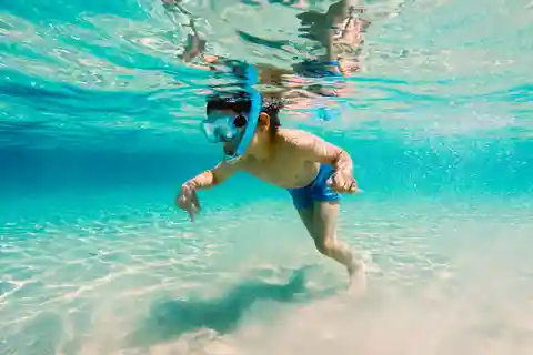 Fort Walton Beach: Morning Dolphin Cruise with Snorkel Stop