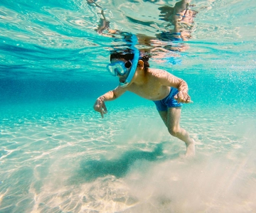 Fort Walton Beach: Morning Dolphin Cruise with Snorkel Stop