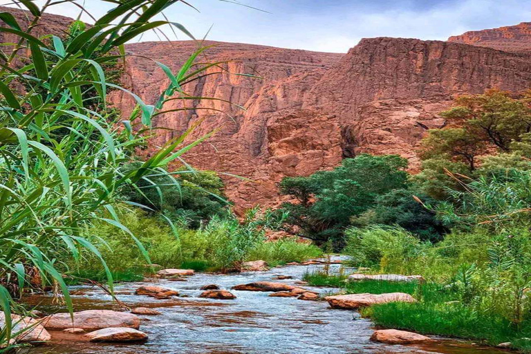 Marrakech: Escursione nel deserto di 3 giorni a Merzouga con trekking a cammello