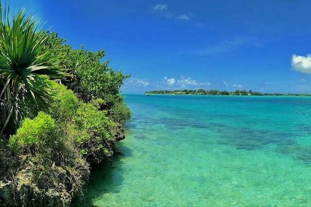 Visit Ile aux Aigrettes Reserve & Blue Bay Glass Bottom Boat in Grand Baie, Mauritius