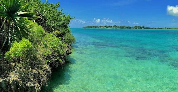 Ile aux Aigrettes Reserve & Blue Bay Glass Bottom Boat