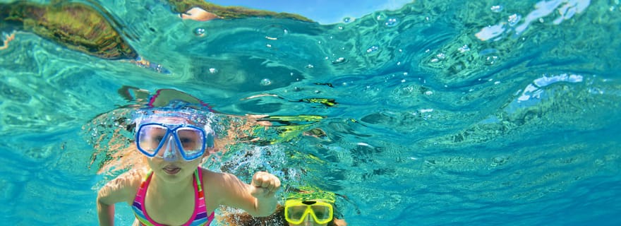 Côte d'Emeraude : Après-midi de plongée avec tuba et visite des dauphins