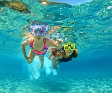 Emerald Coast: Afternoon Snorkel & Dolphin Tour