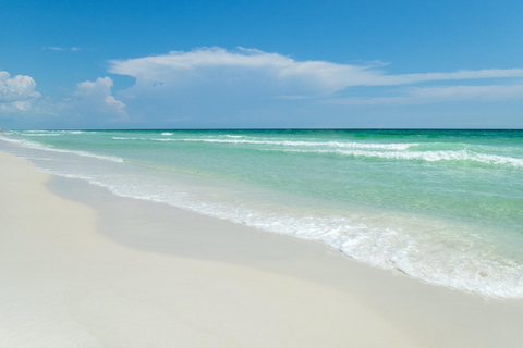 Emerald Coast: Afternoon Snorkel & Dolphin Tour