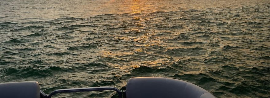 Floride : Croisière au coucher du soleil et aux dauphins sur la Côte d'Émeraude avec guide
