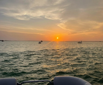 Florida: Emerald Coast Sunset & Dolphin Cruise with Guide