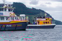 Fort William, SEAL Spotting Loch Linnhe Cruise - Housity