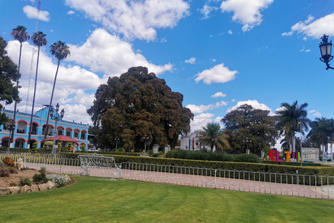 Tour de día completo con guía por la Ruta de Hierve el AguaEntradas y comida incluidas