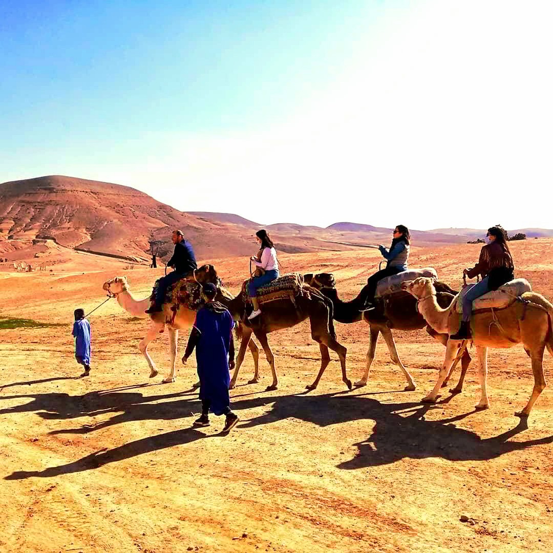 Montagnes de l'Atlas et villages berbères, chutes d'eau et promenade à dos de chameau - dromadaire