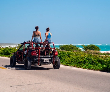 Island Buggy Tour