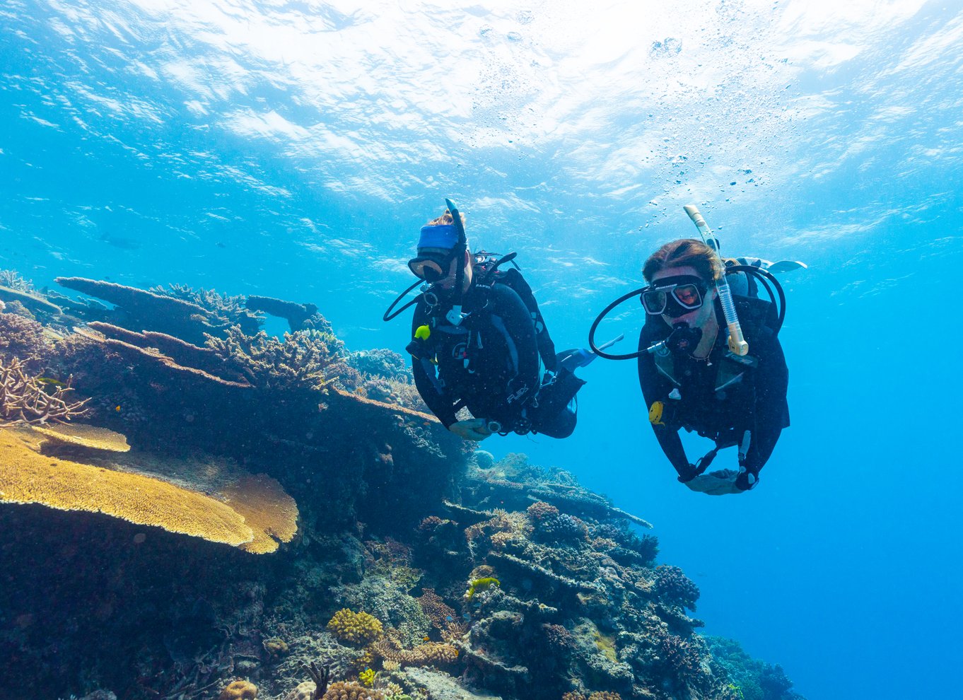 Townsville og Magnetic Island: Tur til MOUA og Great Barrier Reef