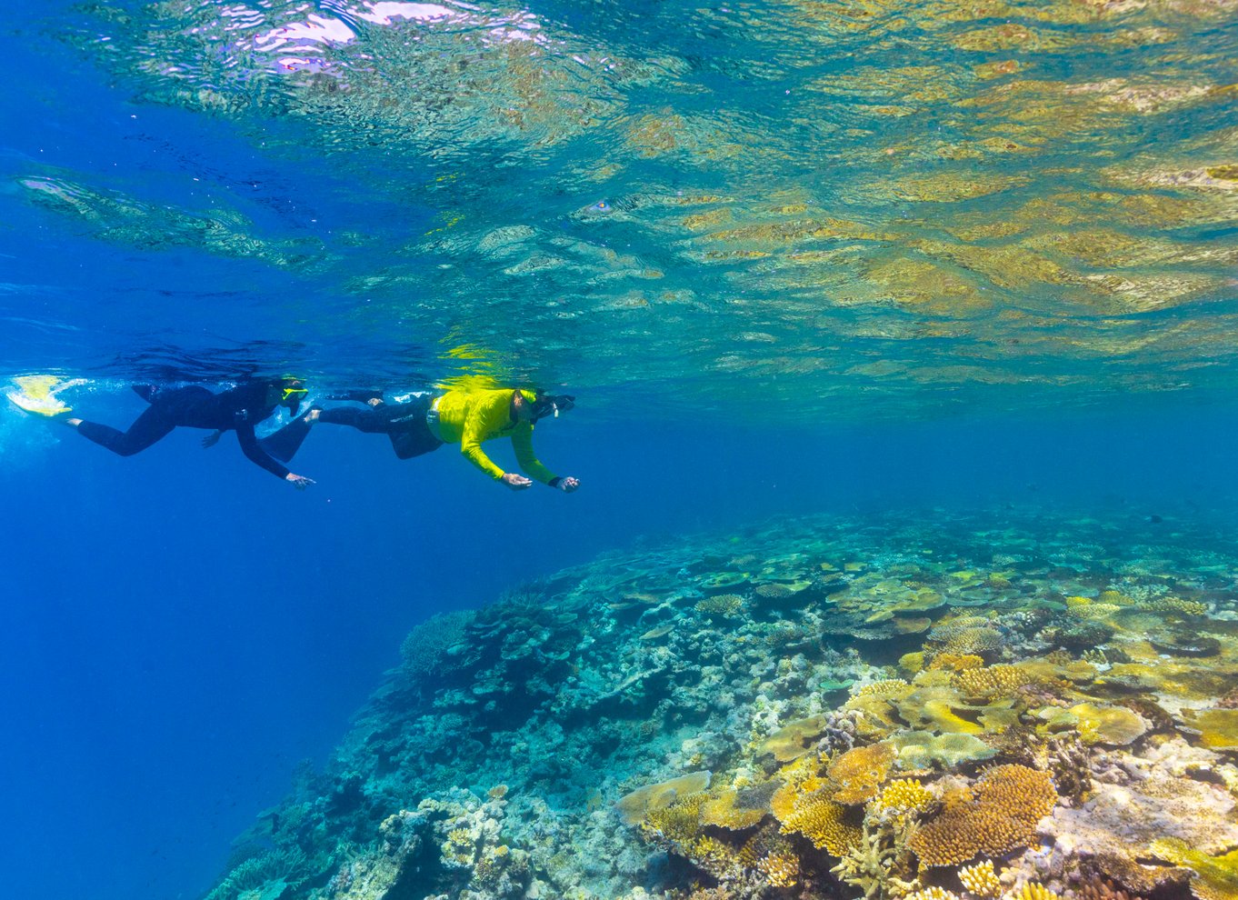 Townsville og Magnetic Island: Tur til MOUA og Great Barrier Reef