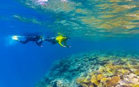Museum Of Underwater Art & Great Barrier Reef Day Trip