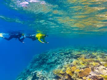 Townsville e Magnetic Island: Viaggio MOUA e Grande Barriera Corallina
