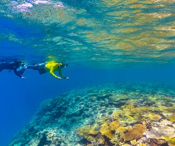 Townsville e Magnetic Island: Viagem ao MOUA e à Grande Barreira de Coral