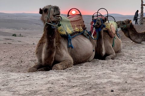 Från Marrakech: Solnedgång i Agafayöknen, fyrhjuling och middag