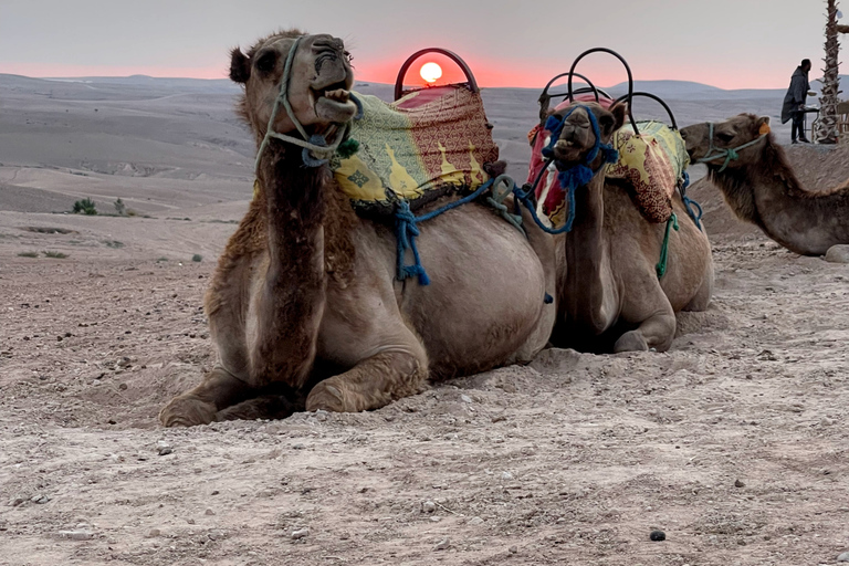 Da Marrakech: Tramonto nel deserto di Agafay, escursioni in quad e cena