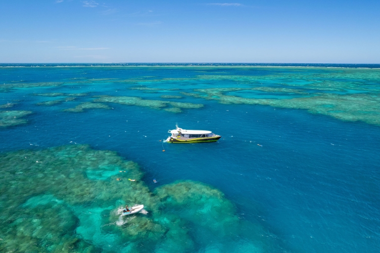 Great Barrier Reef Snorkel & Whitehaven Beach: All in 1 Day