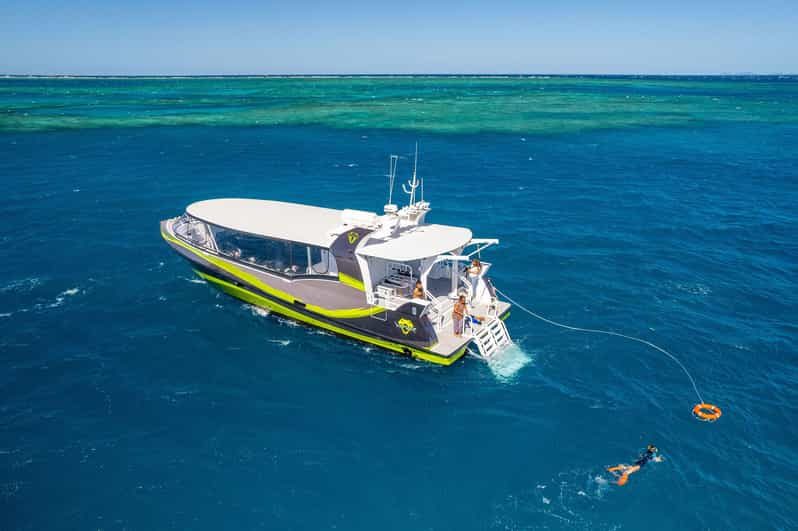 Great Barrier Reef Snorkel & Whitehaven Beach: All in 1 Day | GetYourGuide