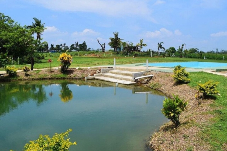 Viti Levu : bain de boue, temple et jardin du géant endormi