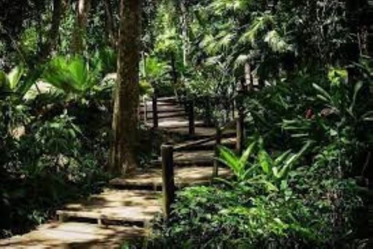 Viti Levu: modderpoel, tempel en slapende gigantische tuin