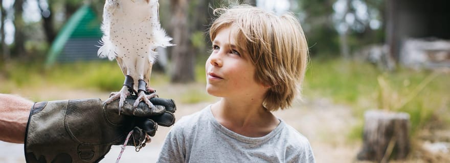 Margaret River : Rencontre avec des oiseaux de proie et promenade en forêt