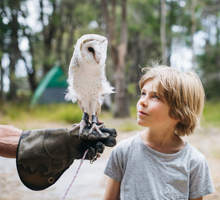 Bilhetes para Espectáculos e Concertos em Margaret River (Austrália Ocidental)