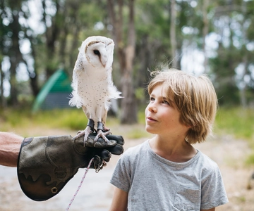 Margaret River: Birds of Prey Encounter and Forest Walk