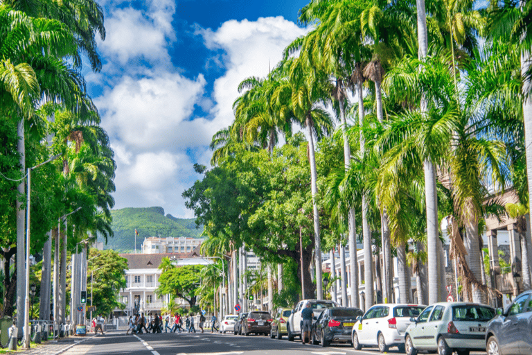 Insta-Worthy City Tour: Enthülle bildschöne Spots