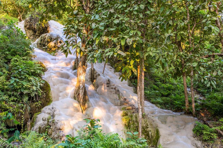 From Chiang Mai: Chiang Dao Cave Trekking Full-Day Tour Private Tour