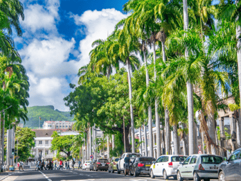 Unveiling the Ancient and Modern Port Louis - city tour