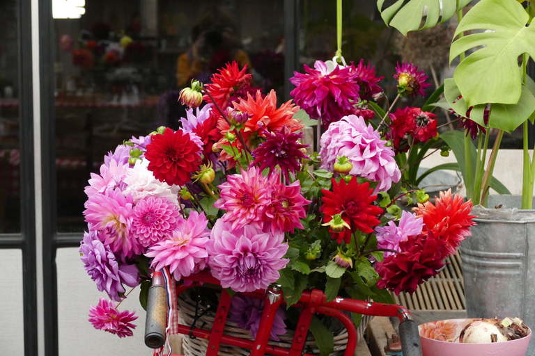 Bollenstreek: Dahlia&#039;s Fietstocht