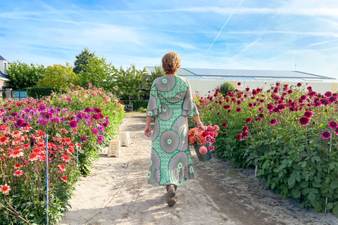 Région des bulbes : Tour cycliste des dahlias