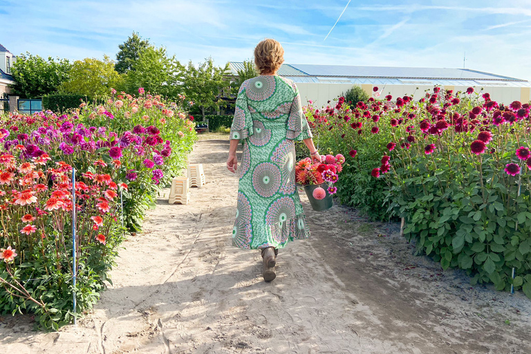 Région des bulbes : Tour cycliste des dahlias