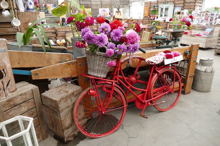 Région des bulbes : Tour cycliste des dahlias