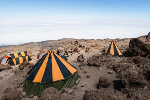 Moshi : Randonnée de 2 jours sur l&#039;itinéraire Marangu du Kilimandjaro