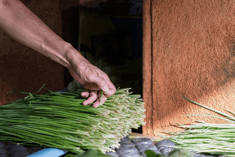 Délices culturels et trésors du patrimoine dans la ville
