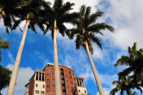 Délices culturels et trésors du patrimoine dans la ville