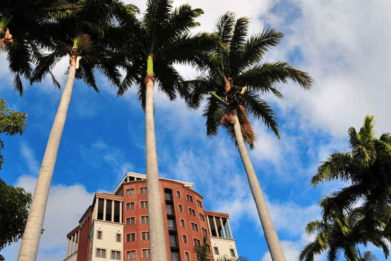 Délices culturels et trésors du patrimoine dans la ville