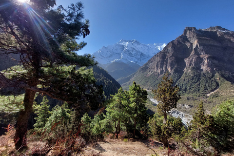 Kathmandu: 15-Day Mountainous Manaslu Circuit Trek