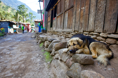 Kathmandu: 15-Day Mountainous Manaslu Circuit Trek