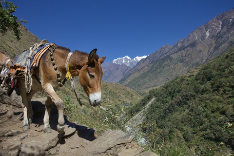 Katmandu: 15-dniowa górska wędrówka po obwodzie Manaslu