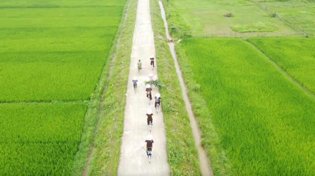 Visit Phong Nha Countryside by Bicycle & Boat day trip in Quang Binh, Vietnam