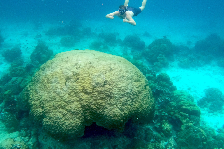 Phi Phi: Excursión de lujo en lancha rápida al atardecer - Bahía Maya y Plancton