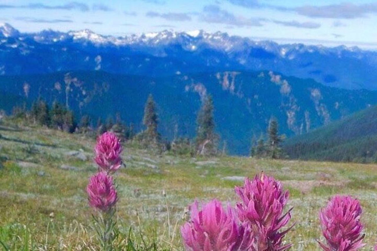 From Seattle: Olympic National Park Full Day Tour From Seattle: Olympic National Park Full Day Tour