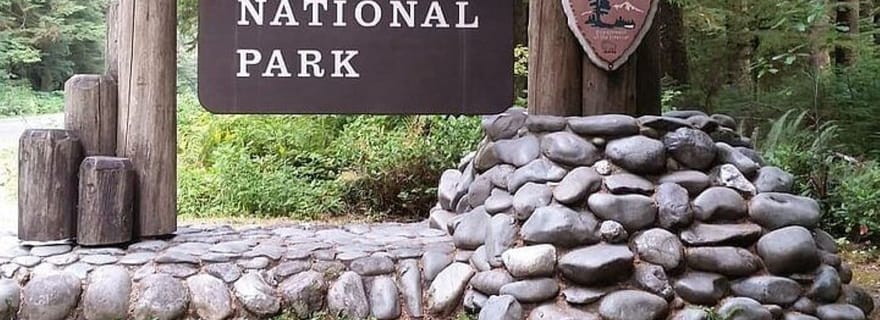 Au départ de Seattle : Excursion d'une journée dans le parc national olympique