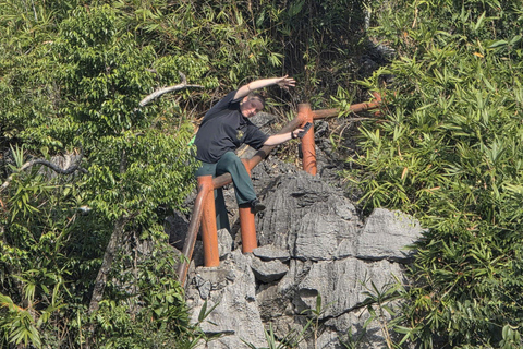 Half day Hiking Cat Ba National Park With guide