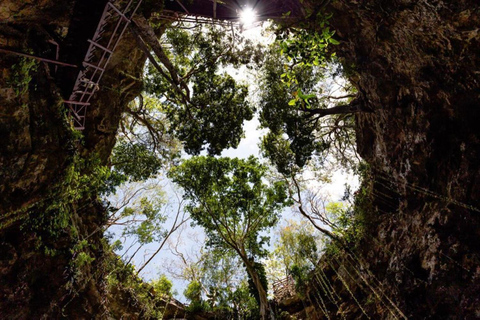 Riviera Maya: Coba & Chichen Itza Reis met Cenote & Lunch