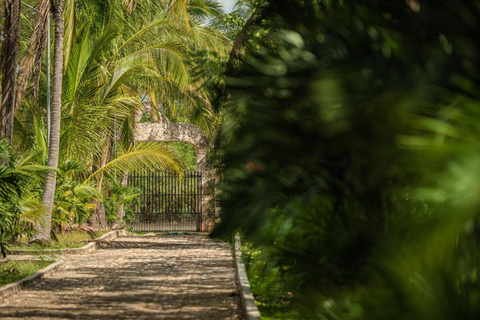 Riviera Maya: Viaje a Cobá y Chichén Itzá con Cenote y Comida