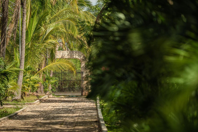 Riviera Maya: Coba & Chichen Itza Reis met Cenote & Lunch